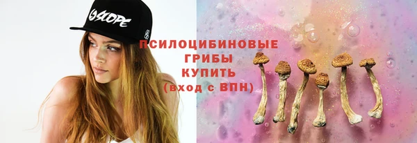 прущая мука Армянск