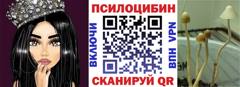 Галлюциногенные грибы Magic Shrooms  МЕГА зеркало  Кирово-Чепецк  как найти закладки 