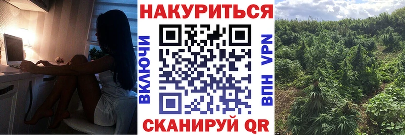 Каннабис сатива  Кирово-Чепецк 
